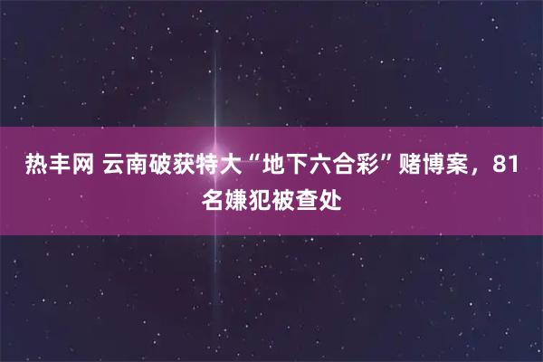 热丰网 云南破获特大“地下六合彩”赌博案，81名嫌犯被查处