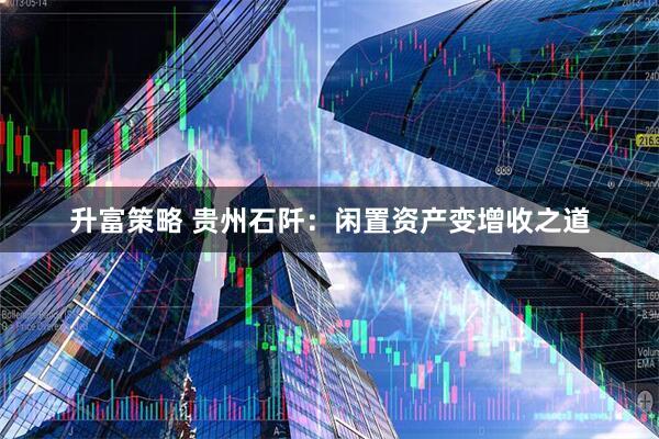 升富策略 贵州石阡：闲置资产变增收之道