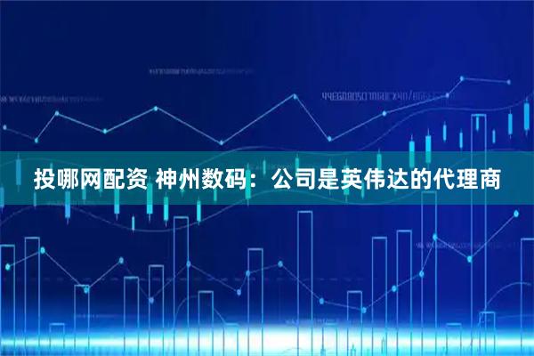 投哪网配资 神州数码：公司是英伟达的代理商