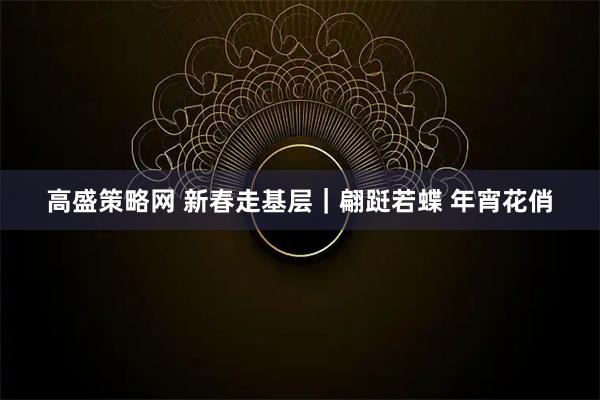 高盛策略网 新春走基层｜翩跹若蝶 年宵花俏